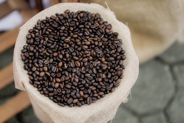 International Trade & Logistics